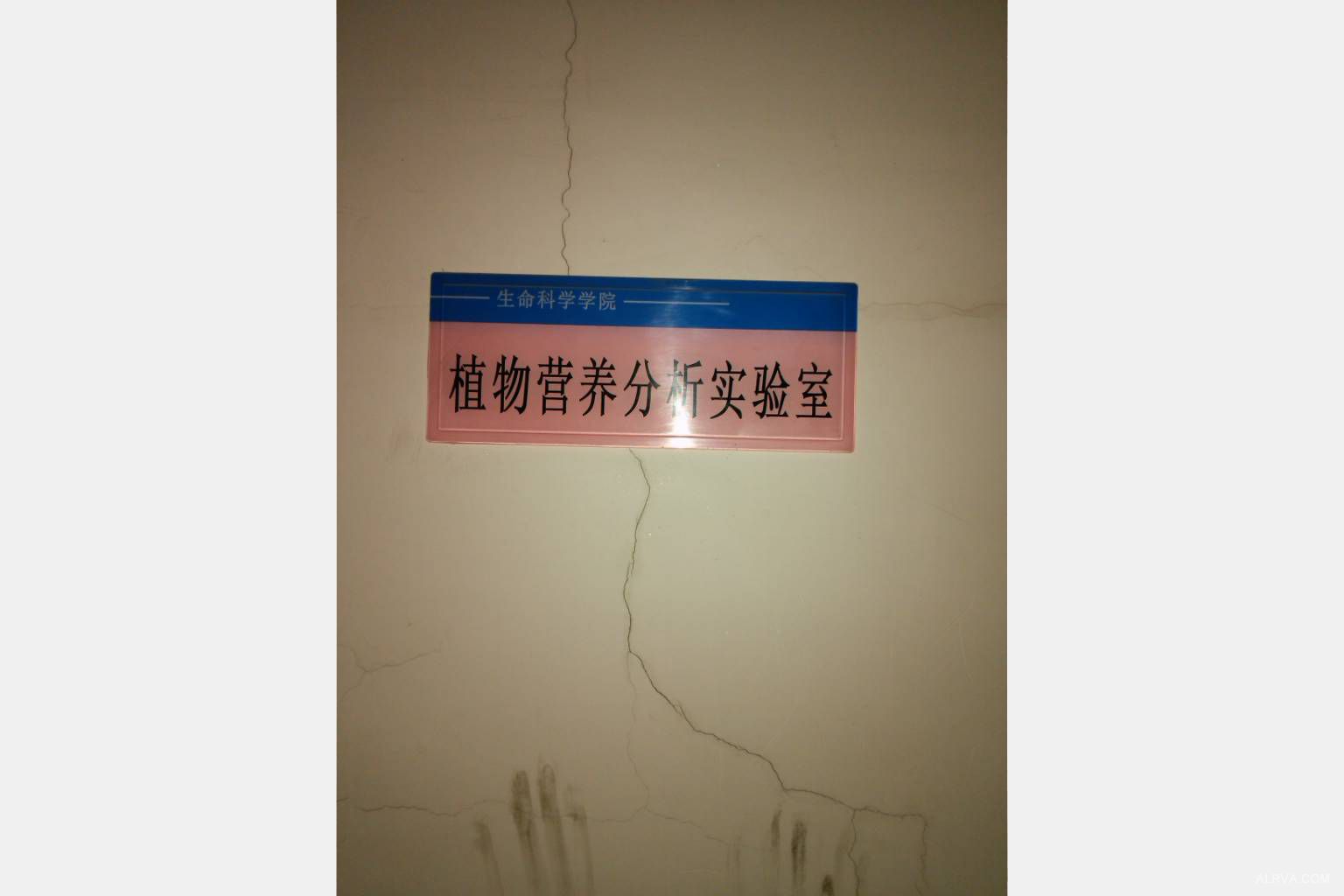 內蒙古大學采購阿爾瓦凱氏定氮儀